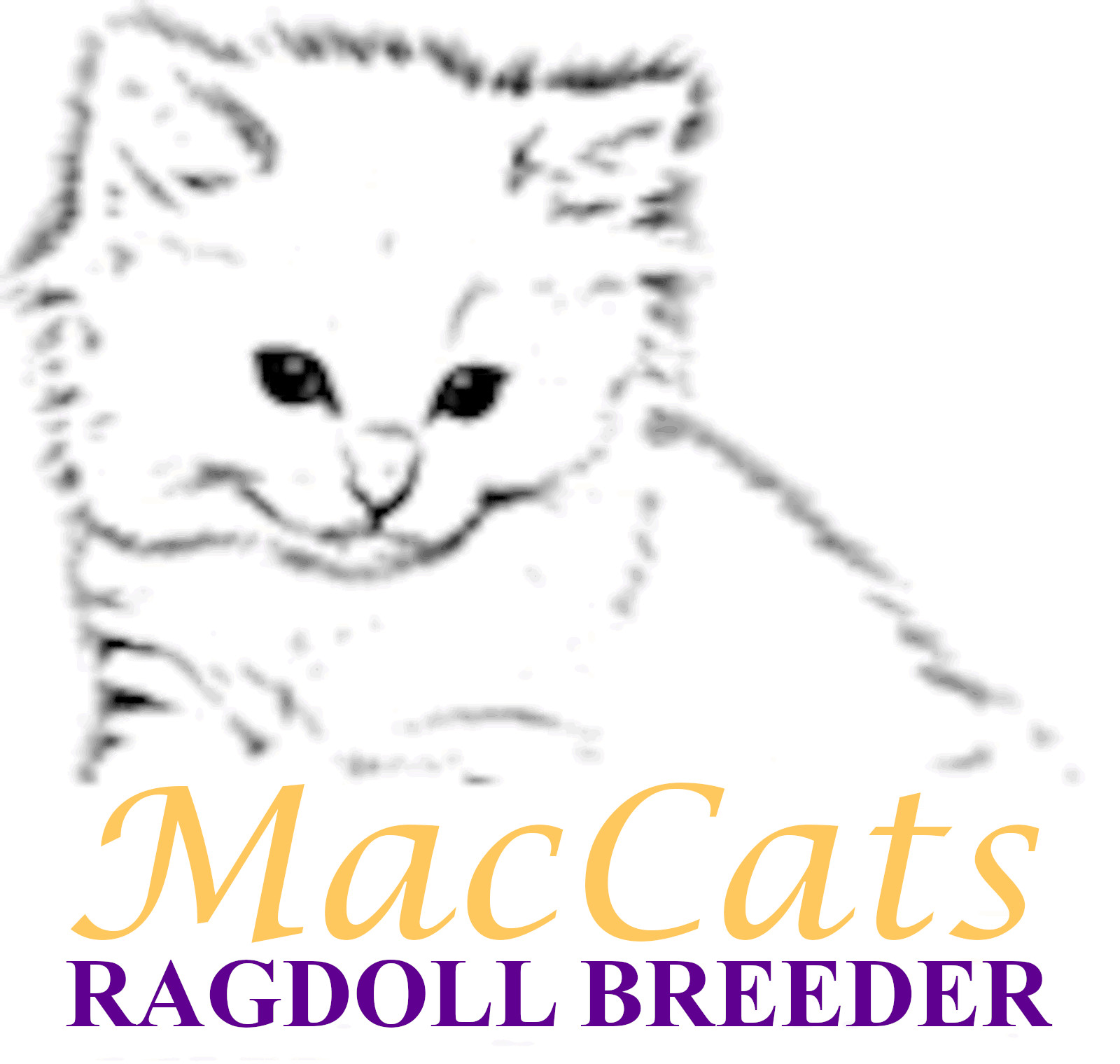 Maccats